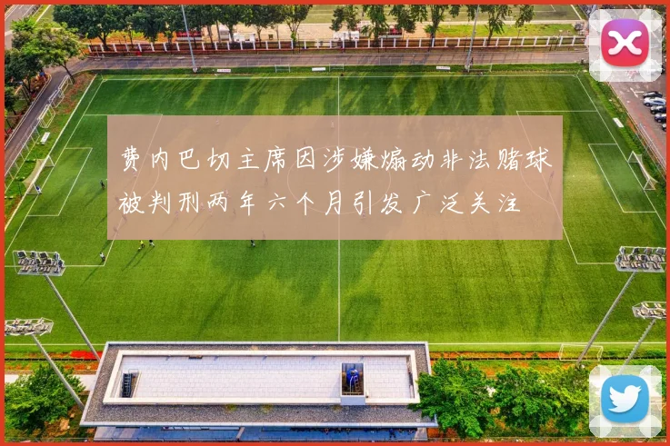 费内巴切主席因涉嫌煽动非法赌球被判刑两年六个月引发广泛关注