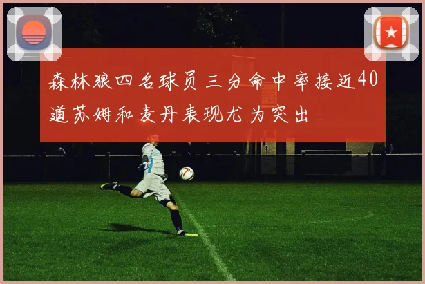 森林狼四名球员三分命中率接近40道苏姆和麦丹表现尤为突出