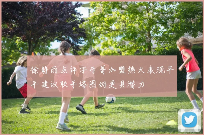 徐静雨点评字母哥加盟热火表现平平建议联手塔图姆更具潜力